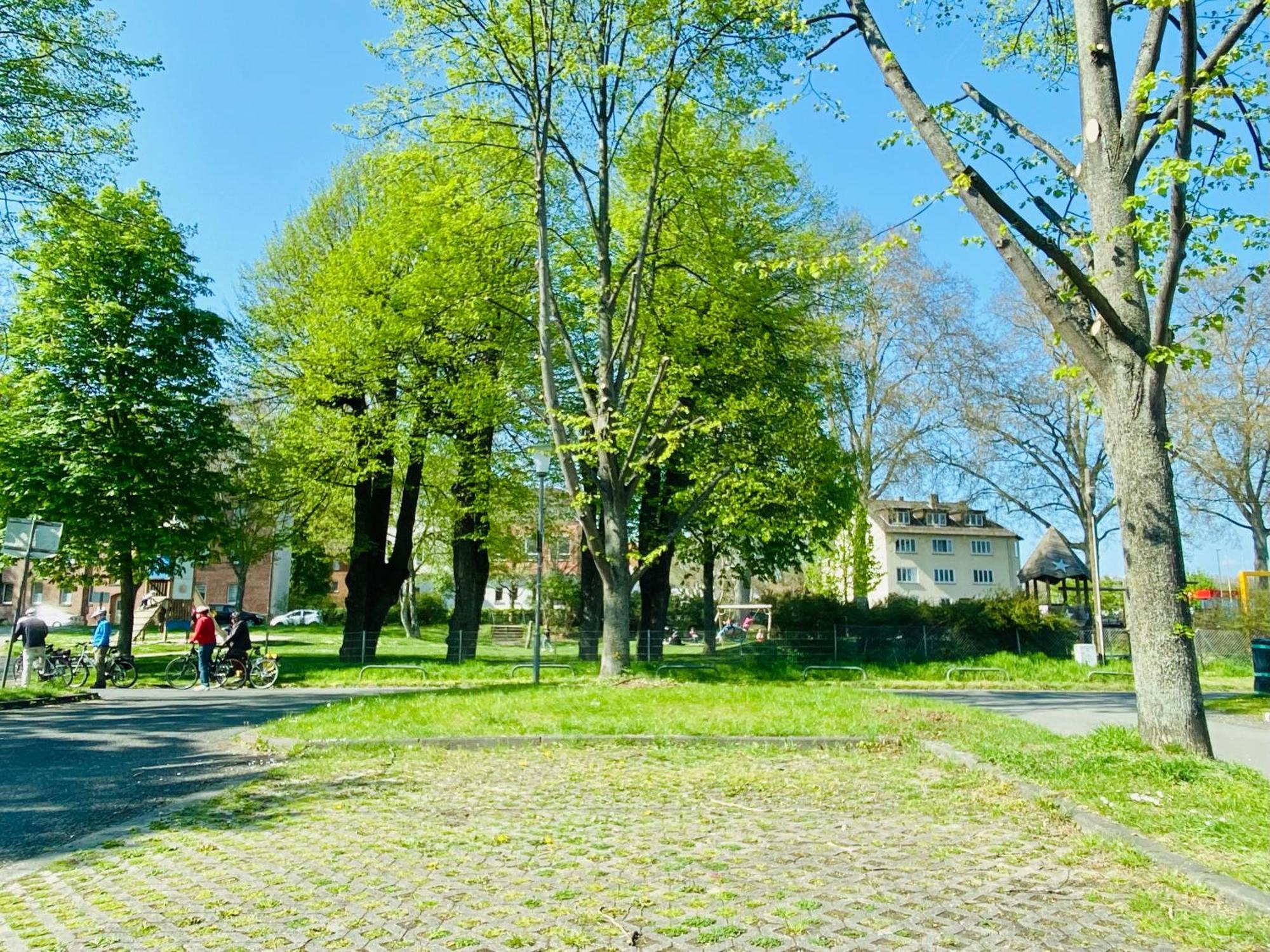 Kassel: Alles, Was Du Brauchst! Buitenkant foto