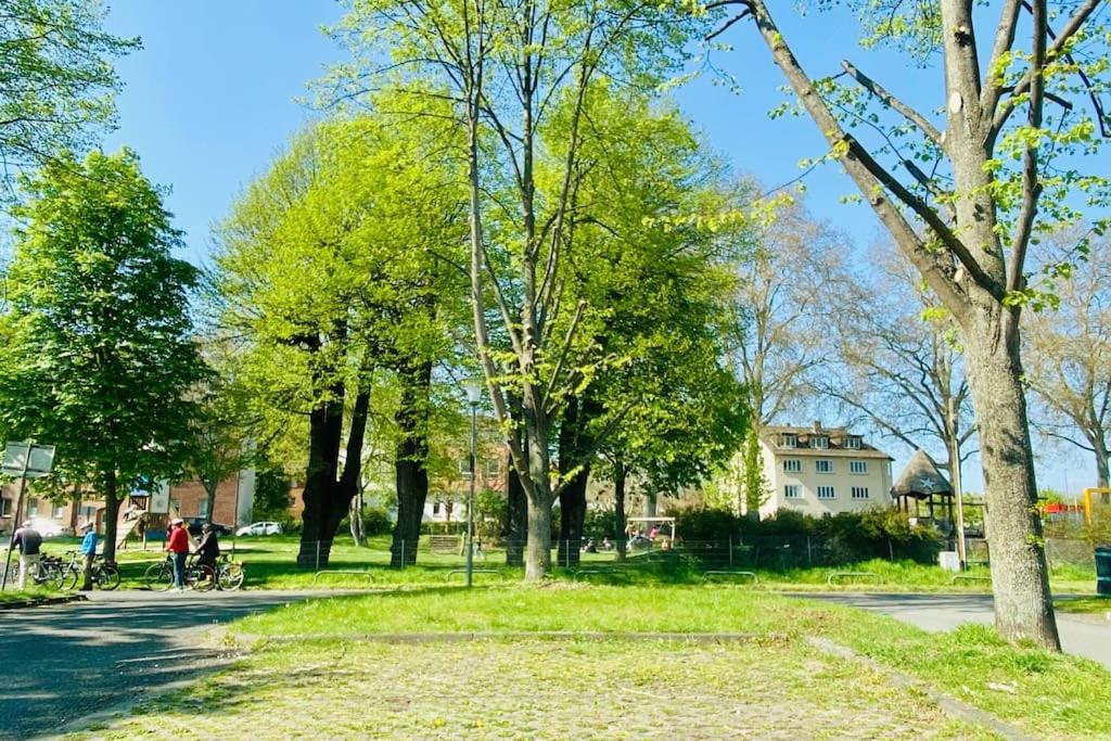 Kassel: Alles, Was Du Brauchst! Buitenkant foto